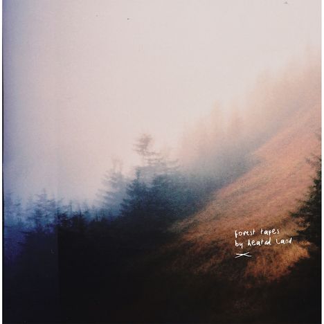 Heated Land: Forest Tapes, LP