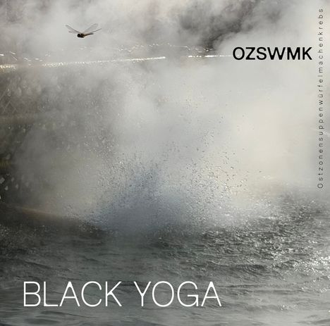 "BLACK YOGA" und "OZSWMK" in großen Buchstaben. Wasserdampf und eine Libelle fliegen über spritzendem Wasser.