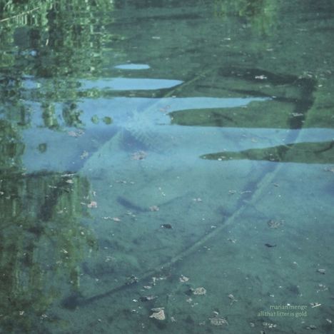 Text: "marian menge, all that litter is gold". Ein Unterwasserfoto mit grünlichem Wasser und Objekten darunter.