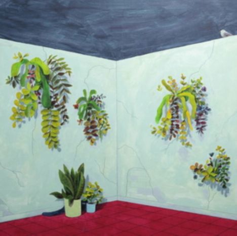 Illustration: In einer Ecke hängen bunte Pflanzen an der Wand, während unten zwei Töpfe mit Grünpflanzen auf rotem Boden stehen.