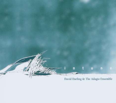 David Darling (1941-2021): Intune, CD