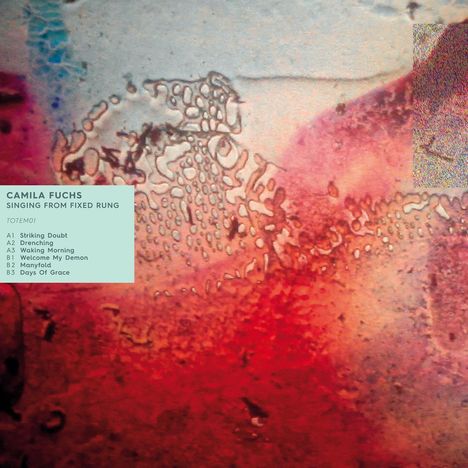 Camila Fuchs: Singing From Fixed Rung EP, Single 12"