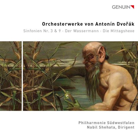 Antonin Dvorak (1841-1904): Orchesterwerke, 2 CDs