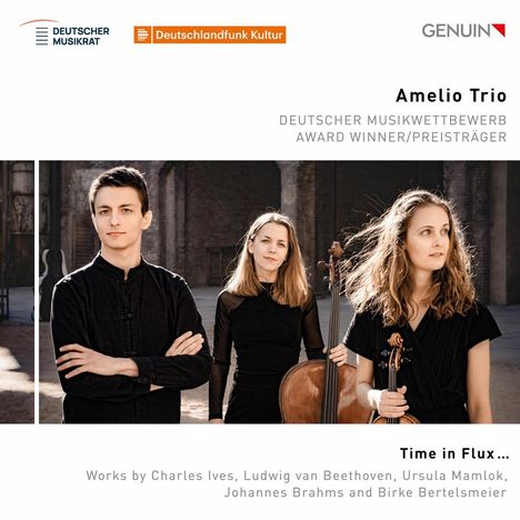 Amelio Trio - Time in Flux ..., CD