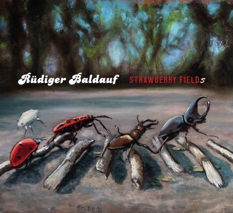 Rüdiger Baldauf (geb. 1961): Strawberry Fields (Limited Edition), CD