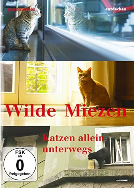 Wilde Miezen - Katzen allein unterwegs, DVD