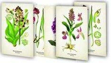 Kunstklappkarten "Zauberhafte Orchideen", Diverse