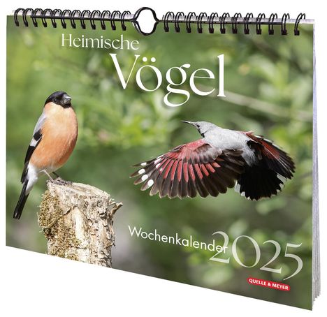 Heimische Vögel 2025, Kalender