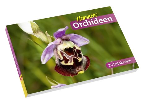 Heimische Orchideen, Buch