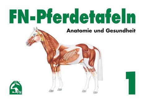 FN-Pferdetafeln. Mappe 1. Anatomie und Gesundheit, Diverse