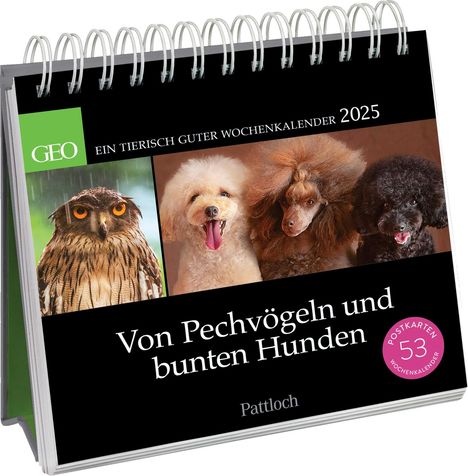Geo: Postkartenkalender 2025: Von Pechvögeln und bunten Hunden, Kalender