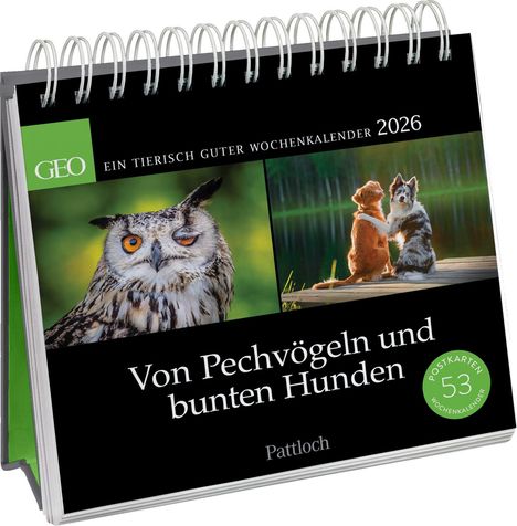 Geo: Von Pechvögeln und bunten Hunden 2026, Kalender