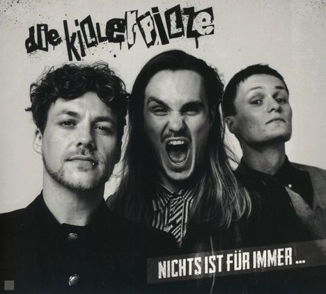 Cover/Produkt Ansicht vergrößern