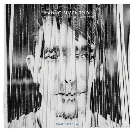 Hanno Busch (geb. 1975): Share This Room (180g) (Limited-Edition), 2 LPs und 1 CD