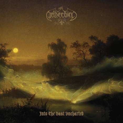 Netherbird: Into The Vast Uncharted (180g) (Deluxe Edition), LP