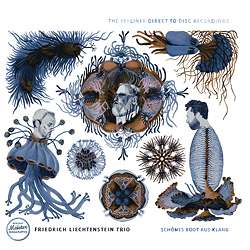 Friedrich Liechtenstein: Friedrich Liechtenstein Trio: Schönes Boot aus Klang (180g), LP