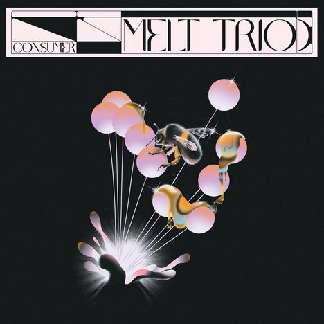 Melt Trio: Consumer, LP