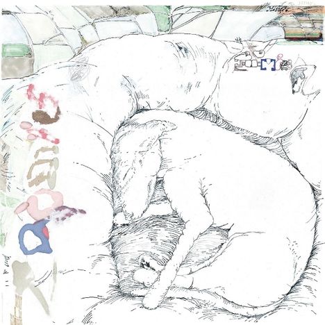 Beschriftung "F.I.T". Ein Hund liegt schlafend eingerollt in einem Kissen. Dezente Farben, minimalistische Zeichnung.