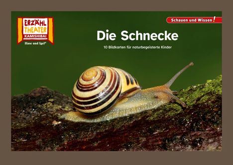 Die Schnecke / Kamishibai Bildkarten, Buch