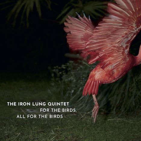 the iron lung quintet: For The Birds, All For The Birds, CD