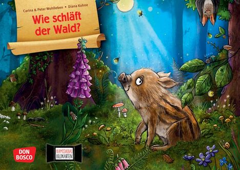 Carina Wohlleben: Wie schläft der Wald? Kamishibai Bildkartenset, Diverse