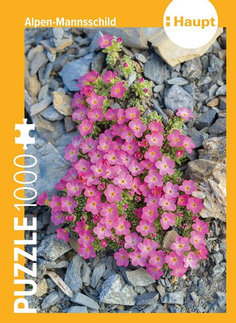 Alpen-Mannsschild - Puzzle. 1000 Teile, Spiele