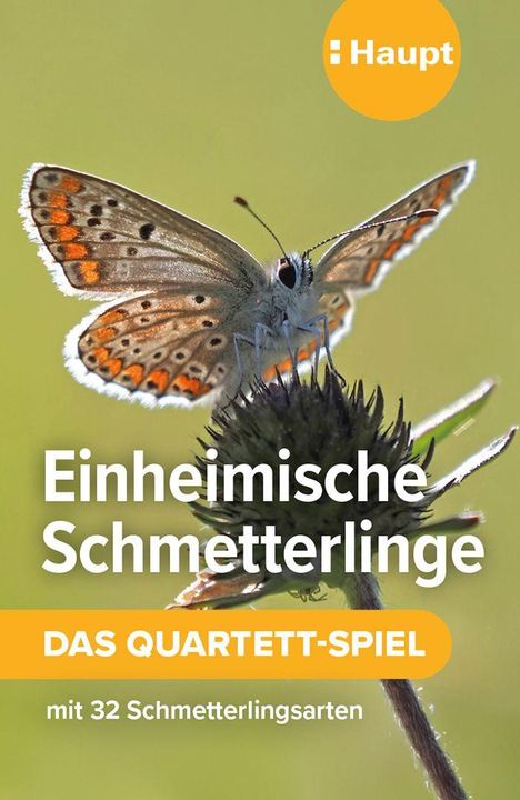 "Einheimische Schmetterlinge: DAS QUARTETT-SPIEL, mit 32 Schmetterlingsarten." Ein Schmetterling auf einer Pflanze.