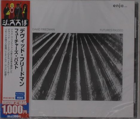 Titel: "Futures Passed". Name: David Friedman. Links japanischer Text. Schwarz-weißes Design von strahlenden Linien.