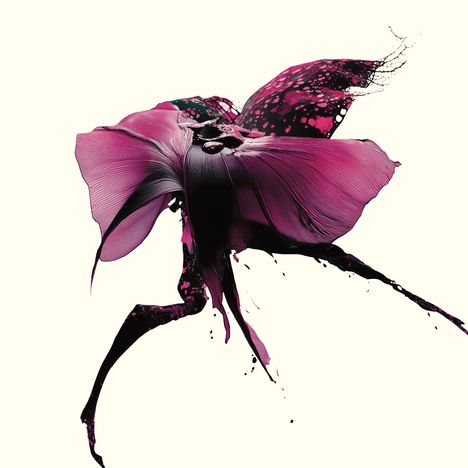 Eine dynamische Darstellung einer Blüte, die an ein Kleid erinnert, in kräftigem Magenta und Schwarz auf hellem Hintergrund.