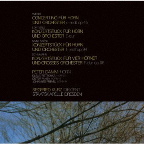 Texte: Wehen, Concertino für Horn und Orchester, Saint Saens; darunter verschwommene Äste eines Baumes vor blauem Himmel.
