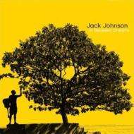 Jack Johnson: In Between Dreams, CD