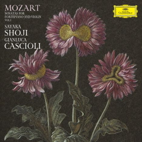 Wolfgang Amadeus Mozart (1756-1791): Sonaten für Violine &amp; Klavier, Super Audio CD