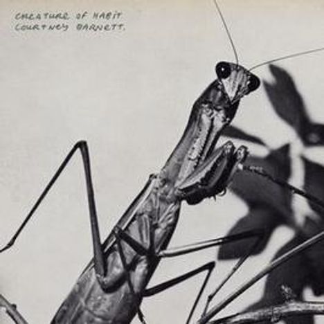 Text: "CREATURE OF HABIT COURTNEY BARNETT." Eine Nahaufnahme einer Gottesanbeterin in Schwarz-Weiß.