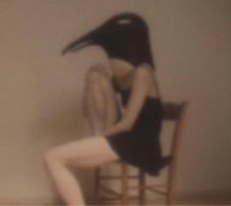 Penguin Cafe Orchestra, CD