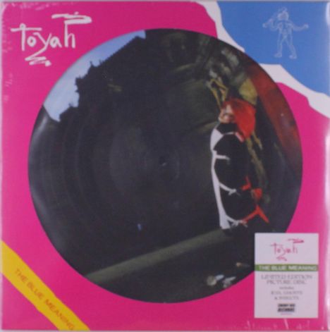 "Toyah" und "The Blue Meaning" sind hervorgehoben. Ein Logo oben rechts zeigt eine tanzende Figur. Ein pinker und blauer Hintergrund.