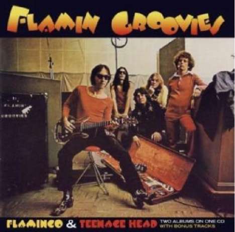 The Flamin' Groovies: Flamingo/Teenage Head (Remastered &amp; Expanded), CD