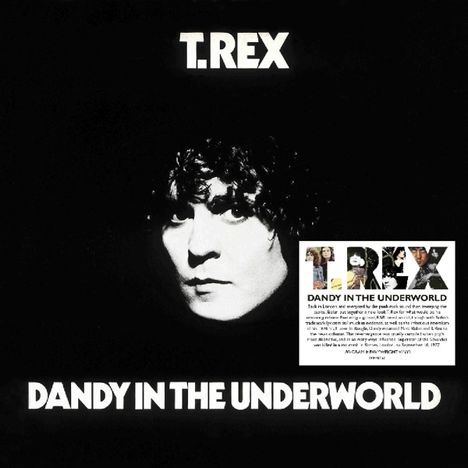 T.Rex (Tyrannosaurus Rex): Dandy In The Underworld (180g), LP