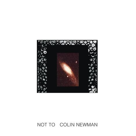 Colin Newman: Not To, LP