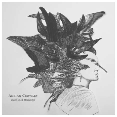 Adrian Crowley: Dark Eyed Messenger (180g) (Limited-Edition), LP