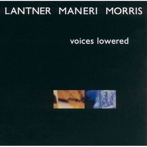 Steven Lantner, Joe Maneri &amp; Joe Morris: Voices Lowered, CD