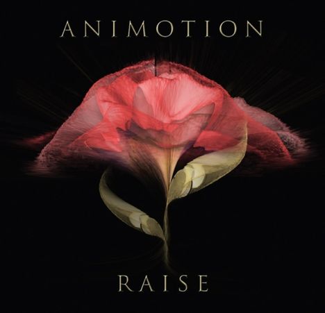 Animotion: Raise Your Expectations, LP