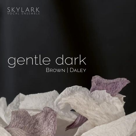 „gentle dark“, Brown | Daley. SKYLARK VOCAL ENSEMBLE. Trockenblüten vor dunklem Hintergrund.