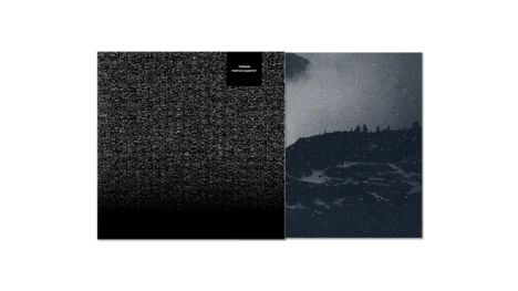 Portico Quartet: Terrain, CD