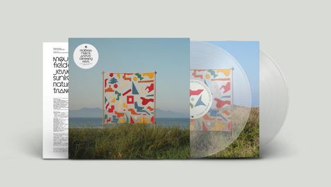 Matthew Halsall (geb. 1983): An Ever Changing View (Limited Edition) (Clear Vinyl), 2 LPs