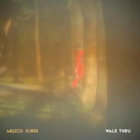 Piotr Melech &amp; Wojtek Kurek: Walk Thru, CD
