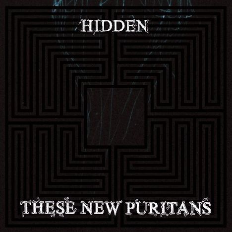 These New Puritans: Hidden, CD