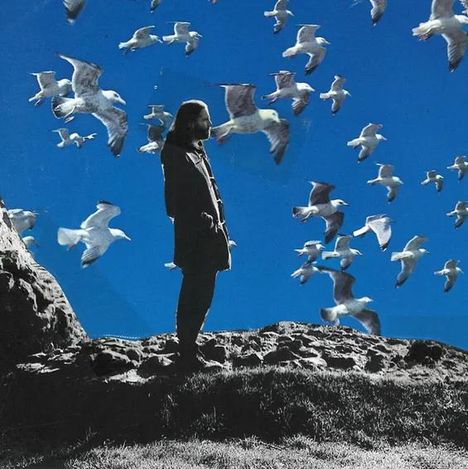 Ein Mann steht auf einem Felsen, umgeben von fliegenden Möwen, vor einem klaren blauen Himmel.