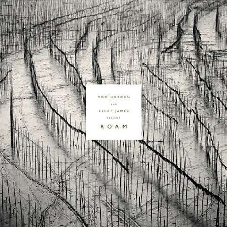 Tom Hobden &amp; Eliot James: Roam, CD