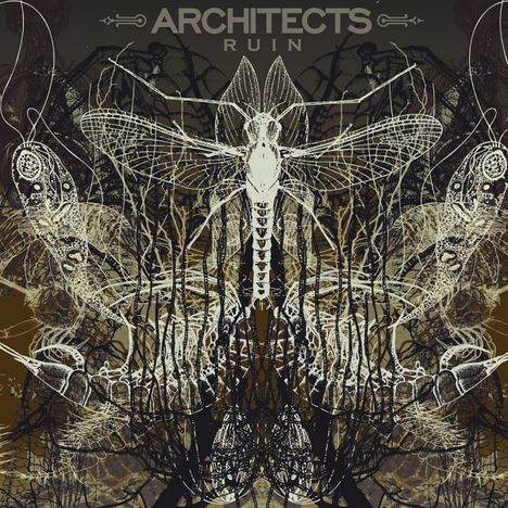 Architects (UK): Ruin (180g) (LP + CD), 1 LP und 1 CD