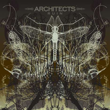 Architects (UK): Ruin, CD
